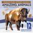 National Parks of North America Amazing Animals - Sticker Book