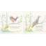 Papilio - Book