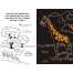 Dot-to-Dot Animals Scratch & Sketch - Book