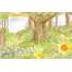 The Great Outdoors Sticker Activity Book - Book