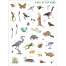Backpack Explorer Stickers: Nature Adventure - Book