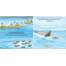 Good Night Sea Otters - Board Book