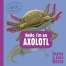 Hello, I'm an Axolotl (Meet the Wild Things, Book 4)
