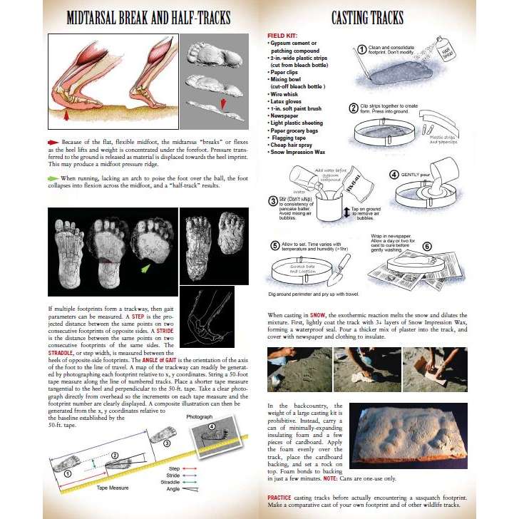 Sasquatch Field Guide - Folding Pocket Guide - Paracay
