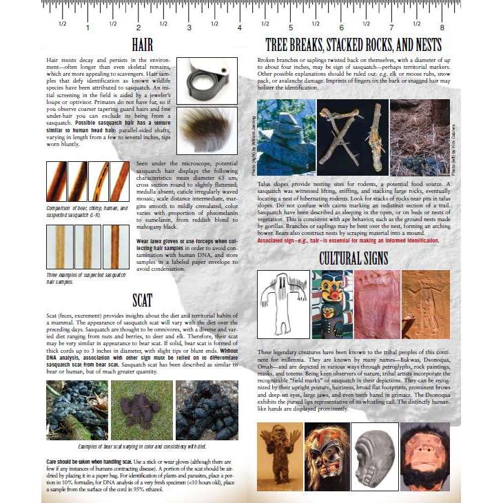 洋書 Field Guide to Bigfoot/Coleman (Signed) THE FIELD GUIDE TO BIGFOOT AND OTHER MYSTERY PRIMATES
