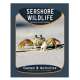 Seashore Wildlife Nature Activity Book (Grades 3-5)