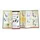 Sibley's Hummingbirds of North America (Folding Guides)