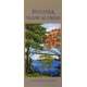 Panama: Tropical Trees (Folding Pocket Guide)