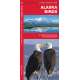 Alaska Birds