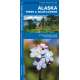Alaska Trees & Wildflowers