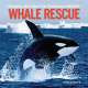 Whale Rescue: Changing the Future for Endangered Wildlife