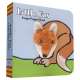 Board Books :Little Fox: Finger Puppet Book