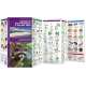 Nature of San Francisco & the Bay Area  (Folding Pocket Guide)