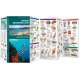 Hawaii Seashore Life (Folding Pocket Guide)