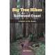 Big Tree Hikes of the Redwood Coast