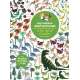 My Nature Sticker Activity Book: In the Age of Dinosaurs