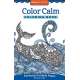 Color Calm Coloring Book