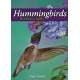 Hummingbirds Playing Cards