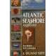 Atlantic Seashore Field Guide: Florida to Canada