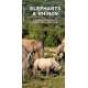 Elephants & Rhinos: A Folding Pocket Guide to the Status of Familiar Species