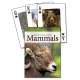 Mammals of the Rocky Mountains Playing Cards