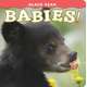 Black Bear Babies!