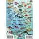 Pacific Northwest Ocean & Kelp Creatures Guide LAMINATED CARD