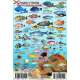 Florida Reef Creatures Guide LAMINATED CARD