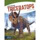 Triceratops