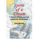 Spirit of a Dream: A Sailor's Ultimate Journey Around the World Alone