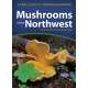 Mushrooms of the Northwest: A Simple Guide to Common Mushrooms