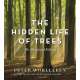 The Hidden Life of Trees: The Illustrated Edition