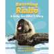 Rescuing Rialto: A Baby Sea Otter's Story