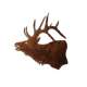 Elk Head MAGNET (Small)