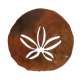 Sand Dollar MAGNET