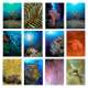 Sea and Aquarium Life Notecard Set A (12 pack)