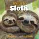 The Secret Life of the Sloth
