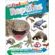 DKfindout! Reptiles and Amphibians