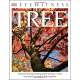 DK Eyewitness Books: Tree: Discover the Fascinating World of Trees from Tiny Seeds to Mighty Forest Giants