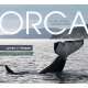 Orca: Shared Waters, Shared Home