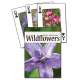 Wildflowers of the Rocky Mountains Playing Cards