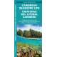 Caribbean Seashore Life (Criaturas Del Litoral Caribeno): A Guide to the Life in the Littoral Zone (Bilingual)