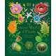 The Secret World of Plants: Tales of More Than 100 Remarkable Flowers, Trees, and Seeds