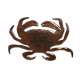 Dungeness Crab (Small) MAGNET