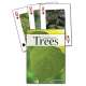 Trees of the Northwest Playing Cards