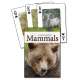 Mammals of the Northwest Playing Cards