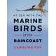 At Sea With the Marine Birds of the Raincoast