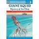 Giant Squid: Mystery of the Deep