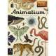 Animalium (Welcome to the Museum Series)