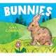 Bunnies BOARD BOOK